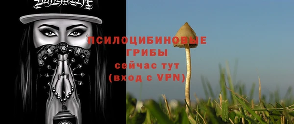 прущие крисы Горнозаводск