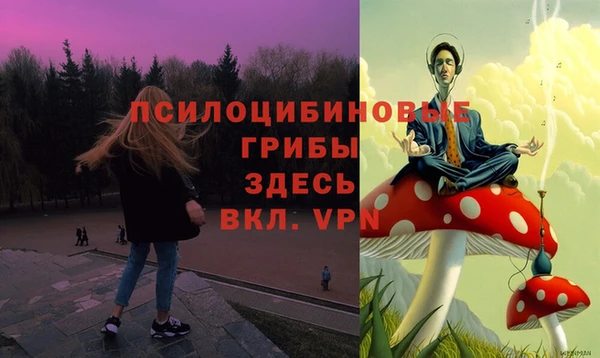 прущие крисы Горнозаводск