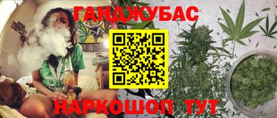 apvp Гагарин