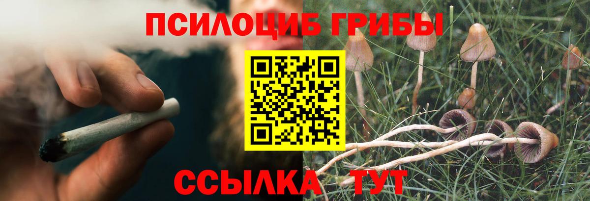 Псилоцибиновые грибы мухоморы  Дубна 