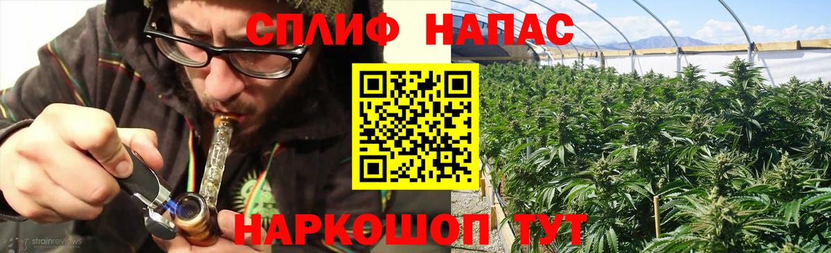 Бошки марихуана OG Kush  Дубна  Конопля план 